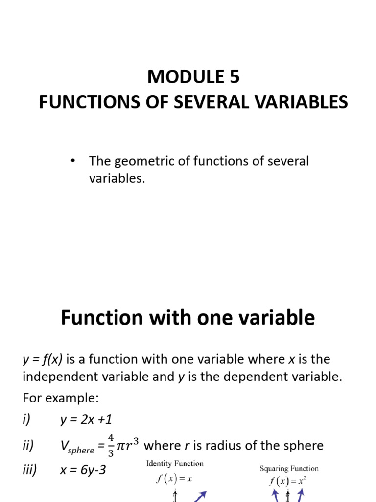 Functions of Several Variables Explained | PDF