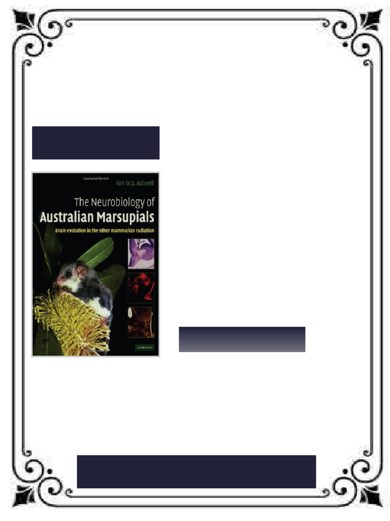 The Neurobiology of Australian Marsupials Brain Evolution in The Other ...