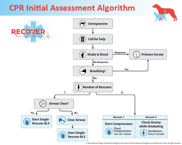 Initial Assessment Algorithm | PDF