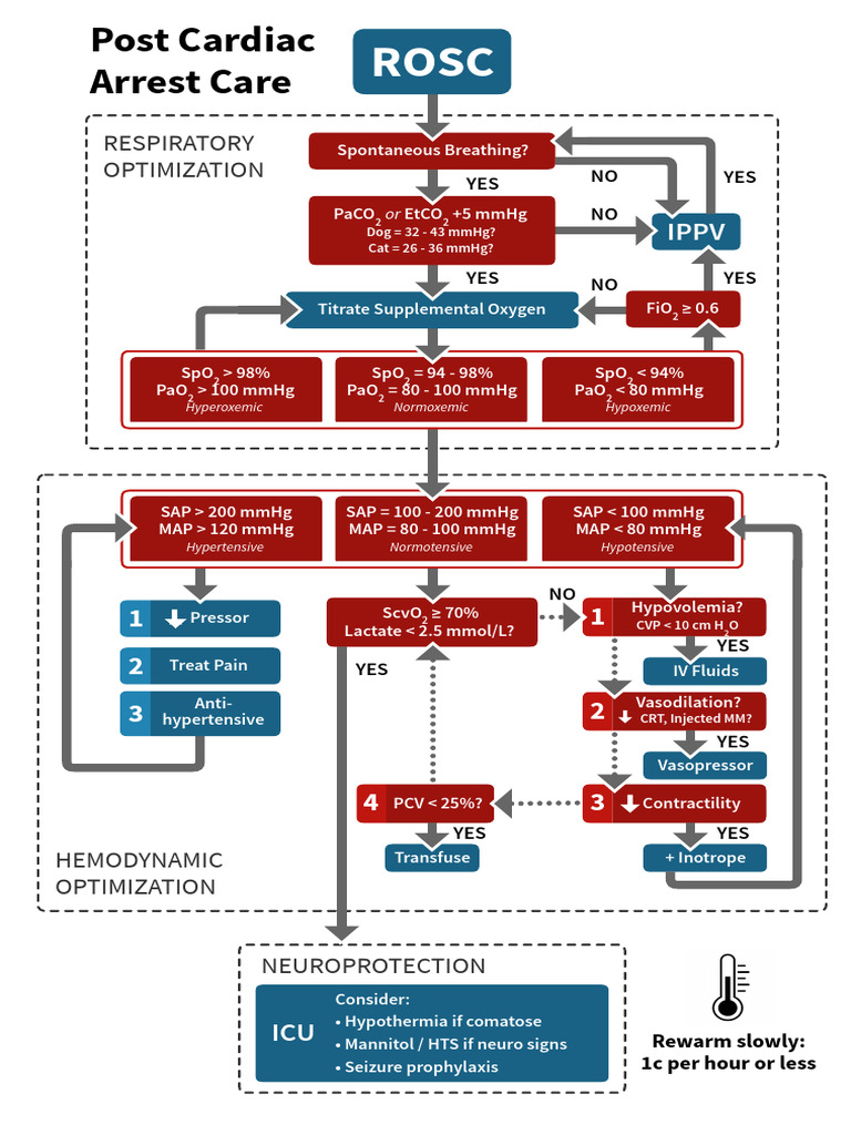 Post Cardiac Arrest Care Algorithm | PDF | Animal Physiology | Medical ...