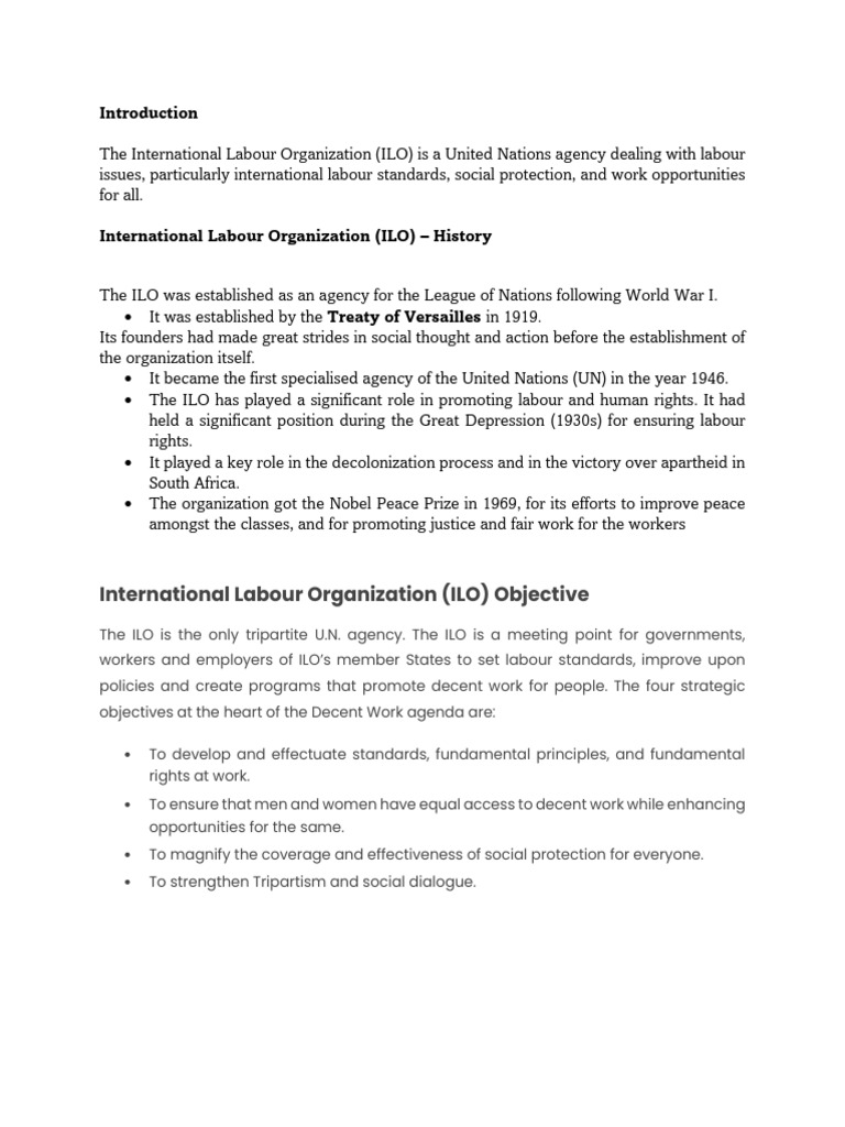 Overview of the International Labour Organization | PDF | International ...