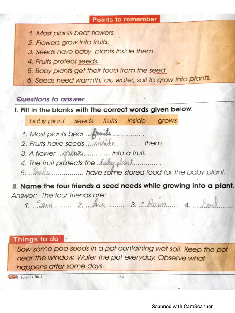 Science Textbook | PDF