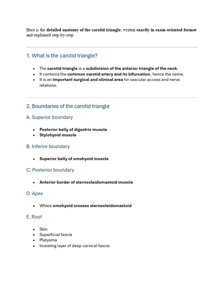 carotid triangle | PDF | Common Carotid Artery | Angiology