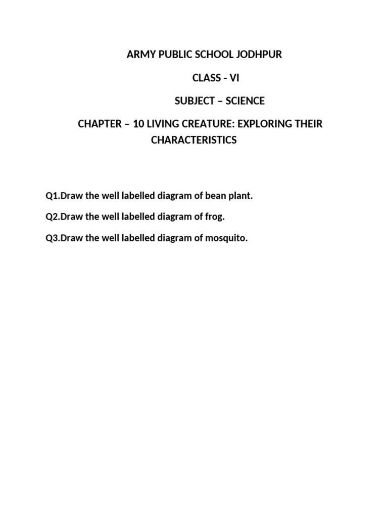 Assignment 2 Class 6 Chapter 10 | PDF