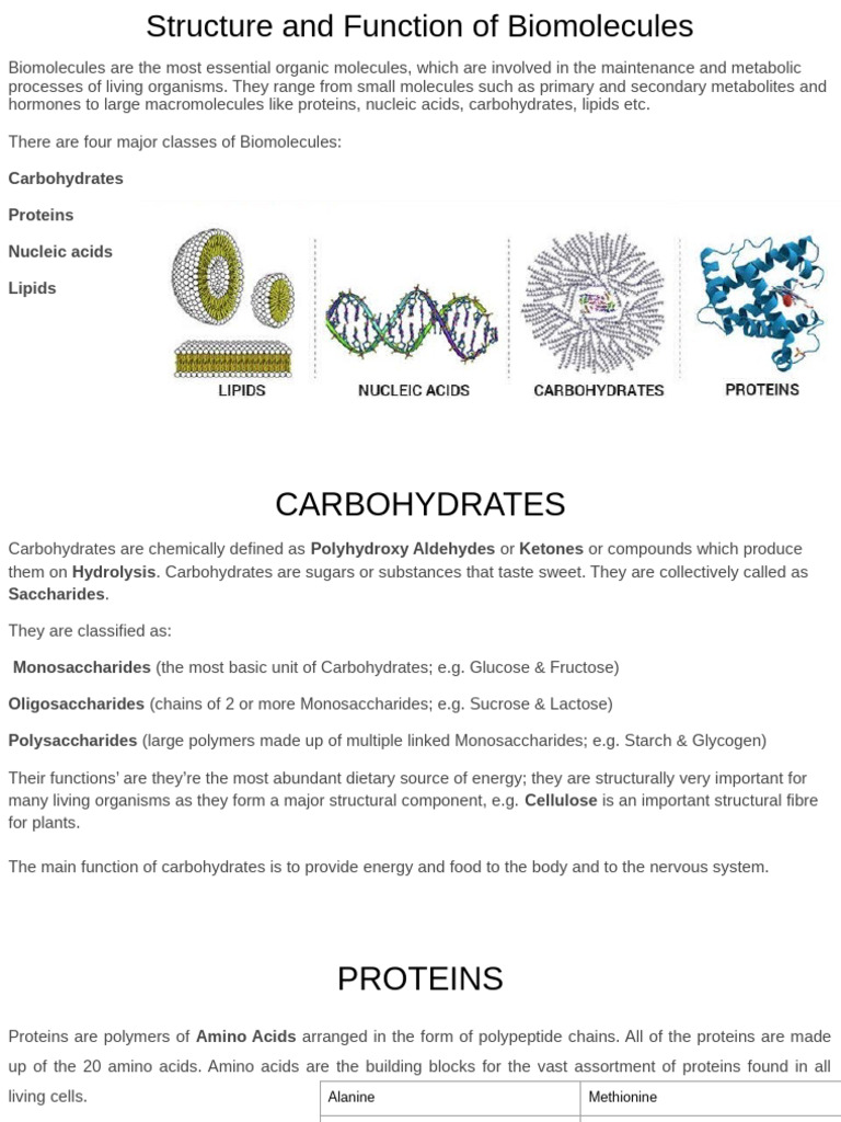 Overview of Biomolecule Types and Functions | PDF | Carbohydrates ...