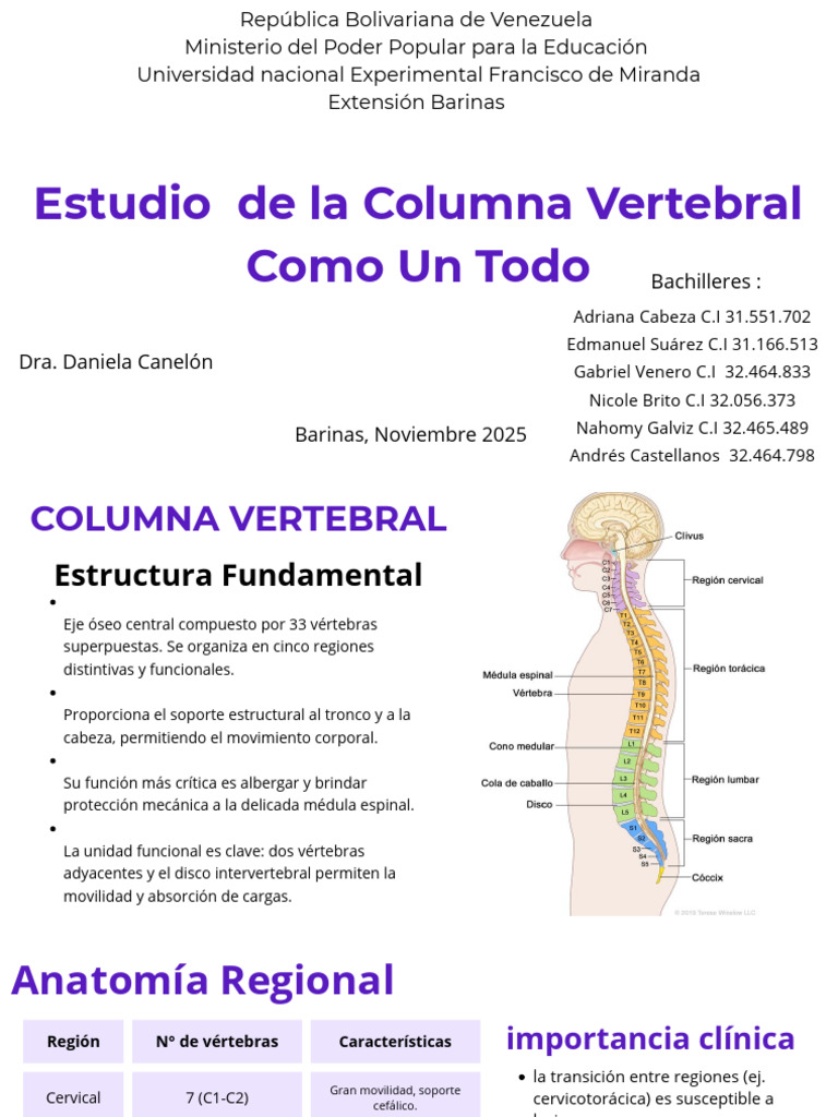 Estudio de la Columna Vertebral en Venezuela | PDF | Vértebra | Sistema ...