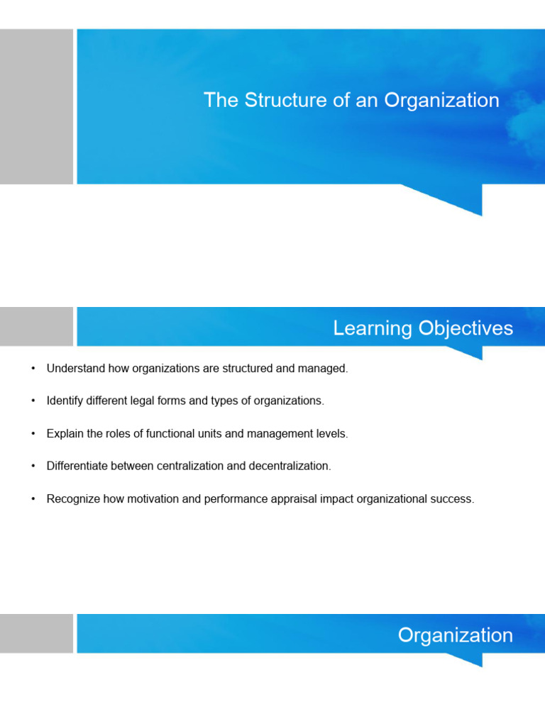 Understanding Organizational Structure | PDF | Performance Appraisal ...