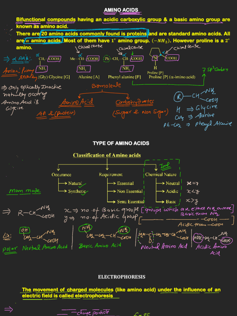 Understanding Amino Acids and Electrophoresis | PDF