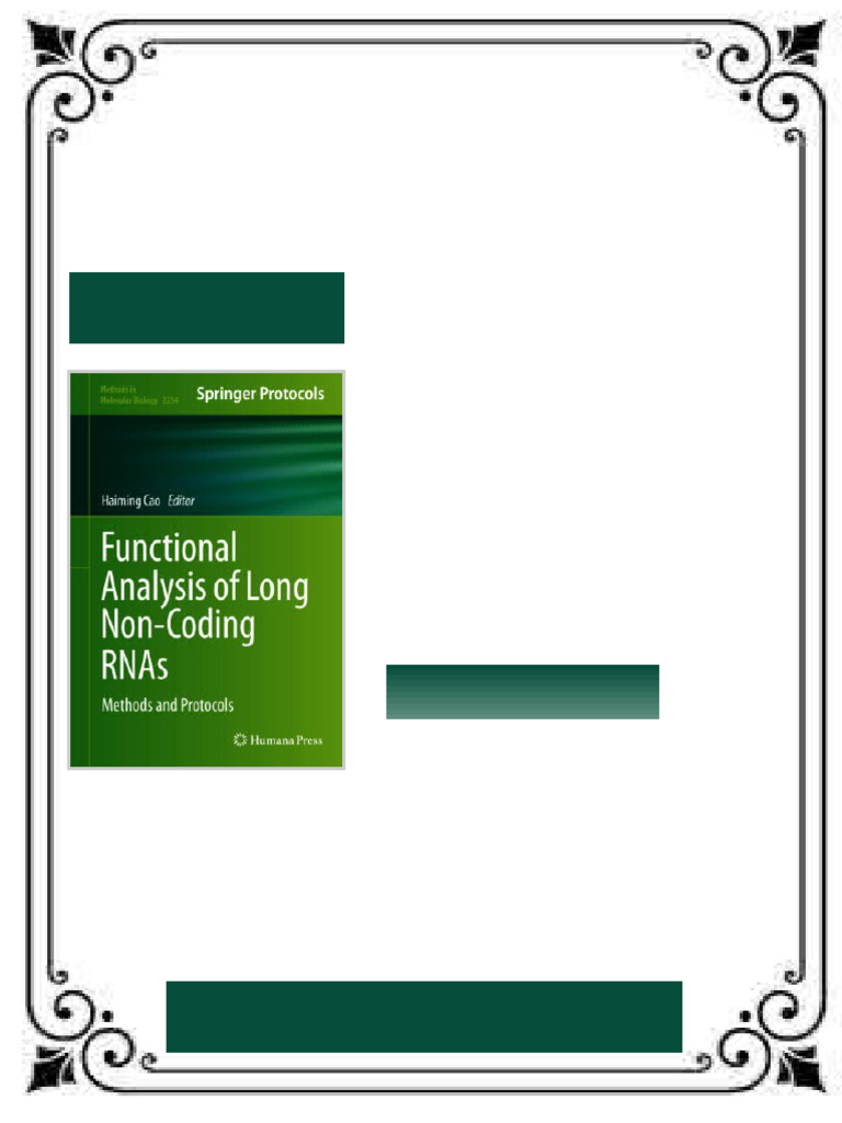 Functional Analysis of Long Non-Coding RNAs: Methods and Protocols ...