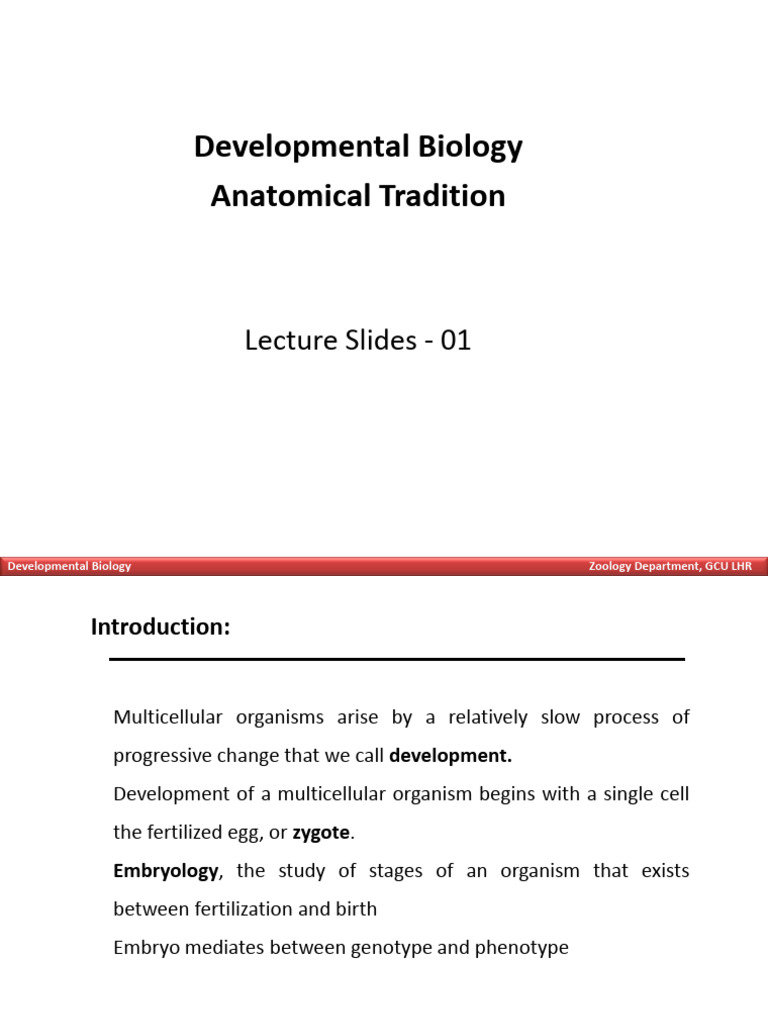 Introduction to Developmental Biology | PDF | Developmental Biology ...