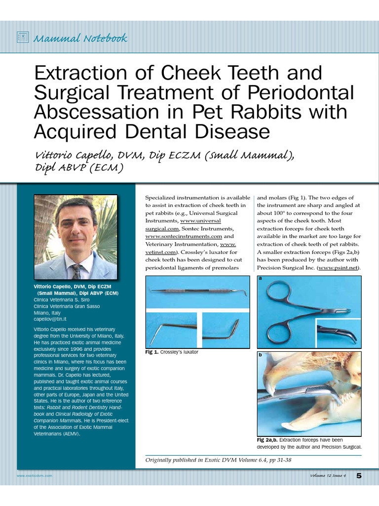 Extraction of Cheek Teeth and Surgical Treatment of Periodontal ...