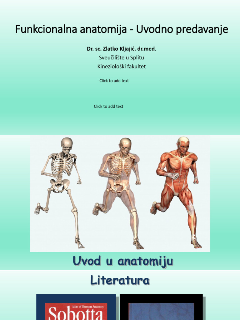 Kif Anatomija Sve | PDF