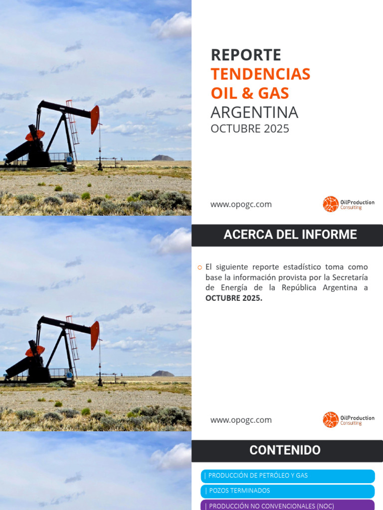 Producción de Petróleo y Gas en Argentina | PDF | Petróleo | Hidrocarburos