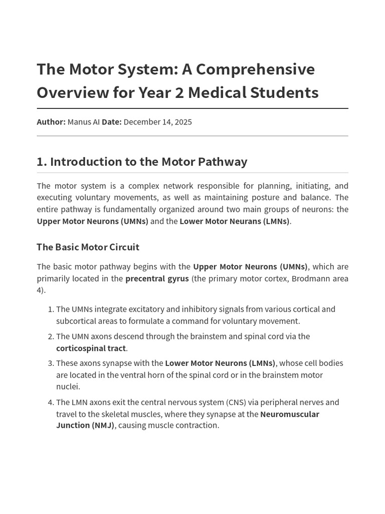 Motor System Overview for Medical Students | PDF | Motor Neuron ...
