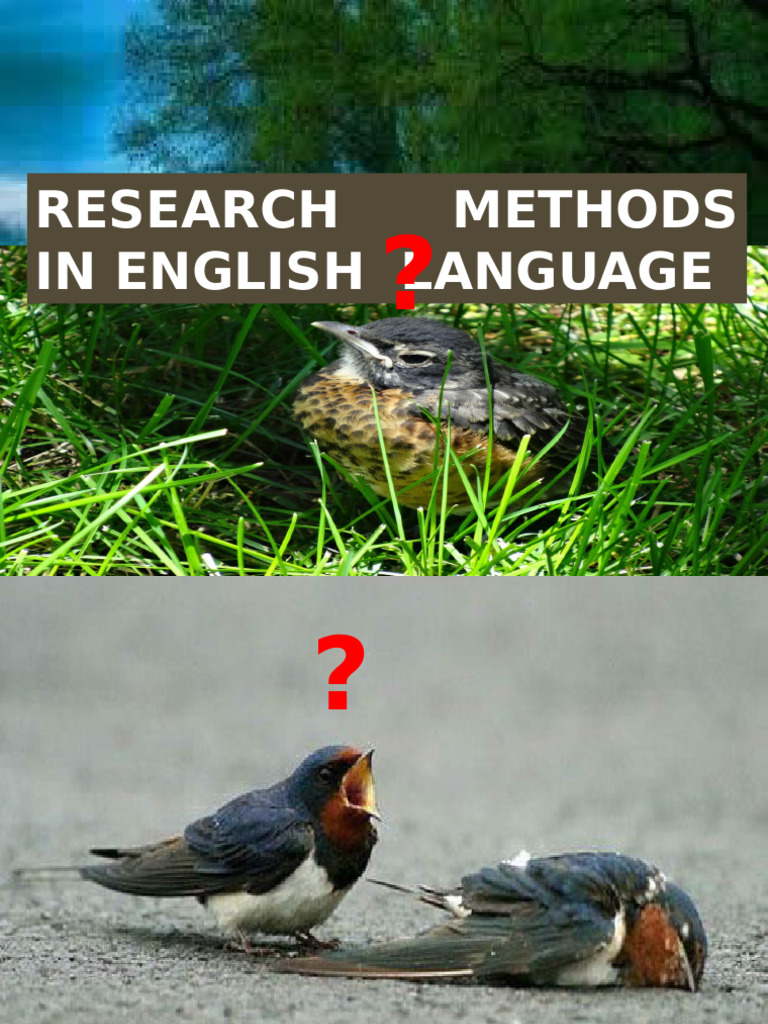 Research Methods in English Language | PDF | Qualitative Research ...