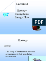 Ecology Ecosystems Energy Flow