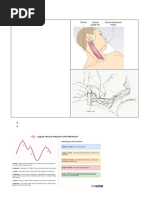 Peripheral Pulse Measurement Sites | PDF