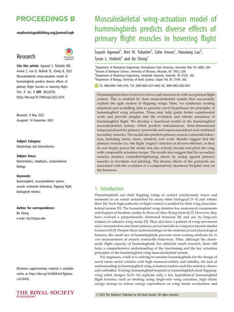 Hummingbird Wing Muscle Dynamics Model | PDF | Biomechanics | Flight