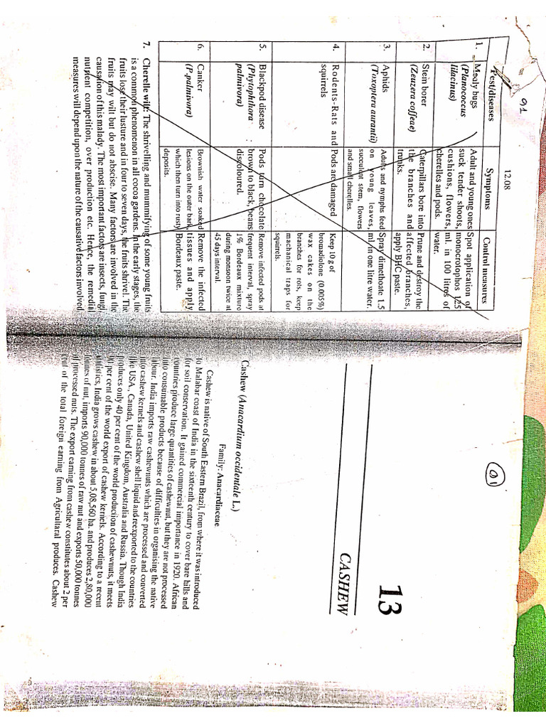 Notes For Coconut, Cashew Nut, Areca Nut | PDF