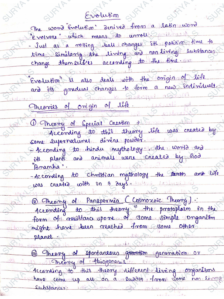 Evolution Class 12 | PDF
