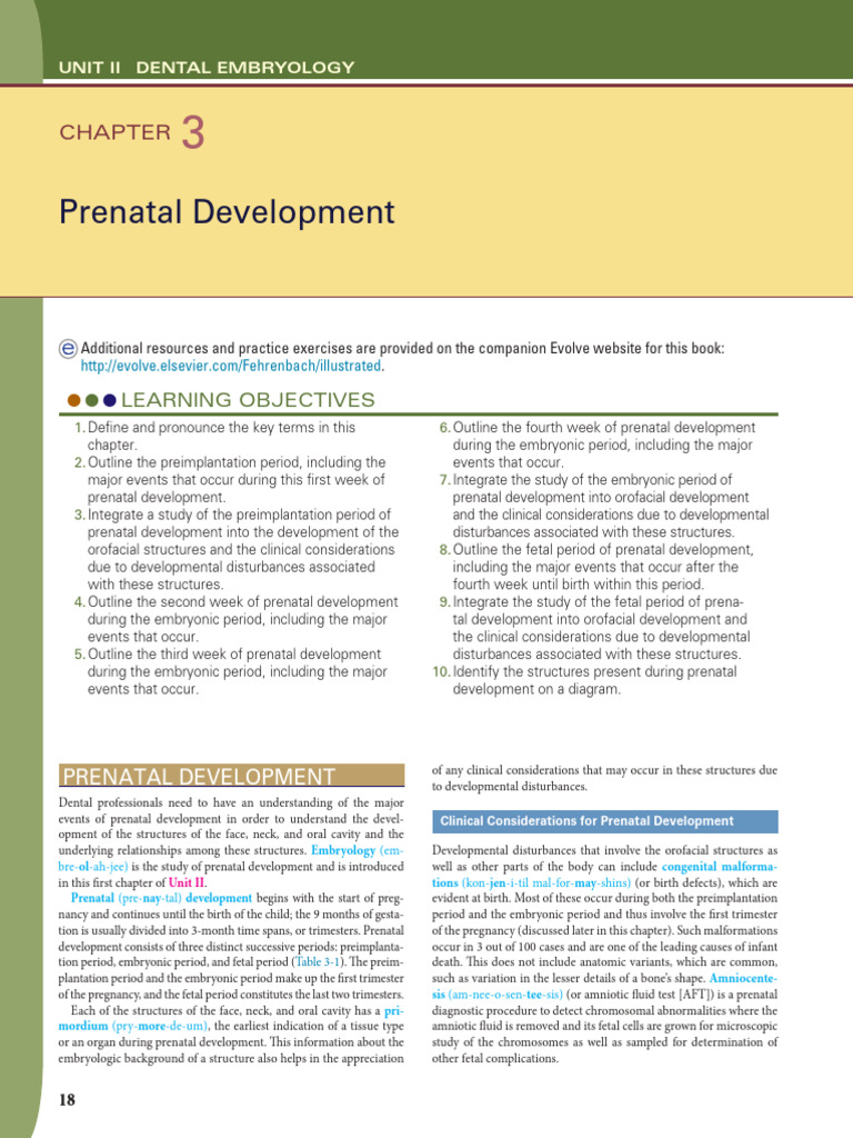 Prenatal Development in Dental Embryology | PDF | Embryo | Biological ...
