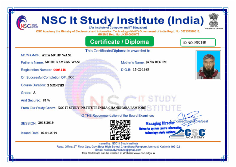 NSC IT Study Institute Report 2018-2019 | PDF