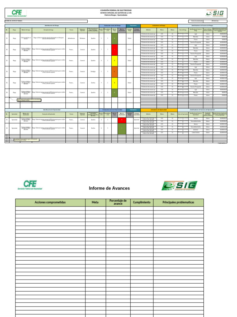 Matriz de Riesgos y Oportunidades CFE | PDF | Riesgo | Economias