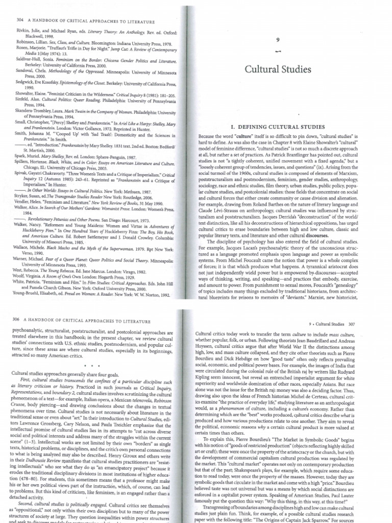 Cultural Studies | PDF