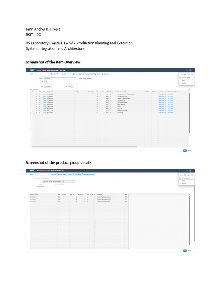 SAP Production Planning Overview | PDF