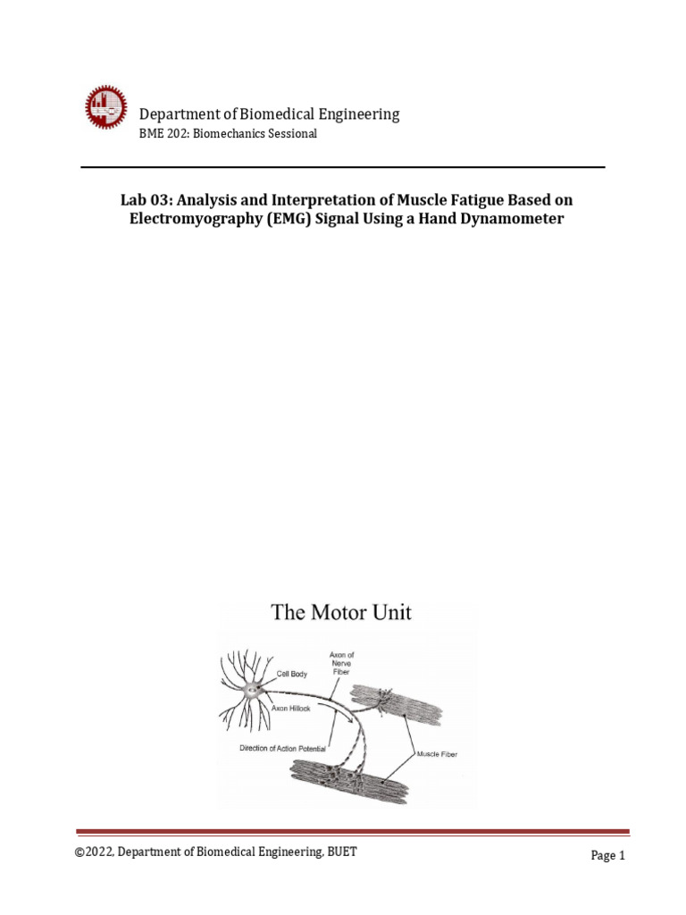 EMG Analysis of Muscle Fatigue Lab | PDF | Nerve | Skeletal Muscle