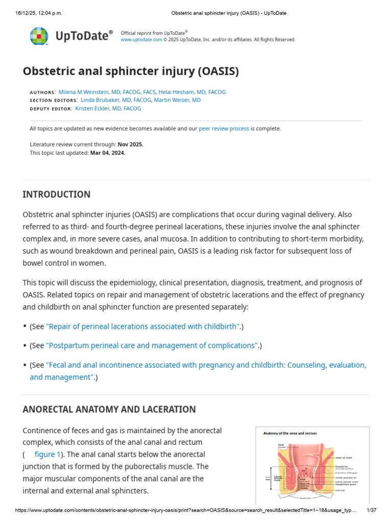 Understanding Obstetric Anal Sphincter Injury | PDF | Childbirth ...