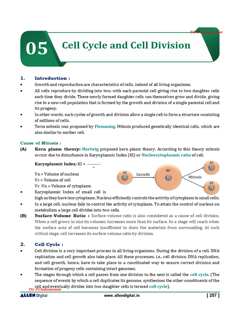 Understanding Cell Cycle and Mitosis | PDF | Meiosis | Mitosis