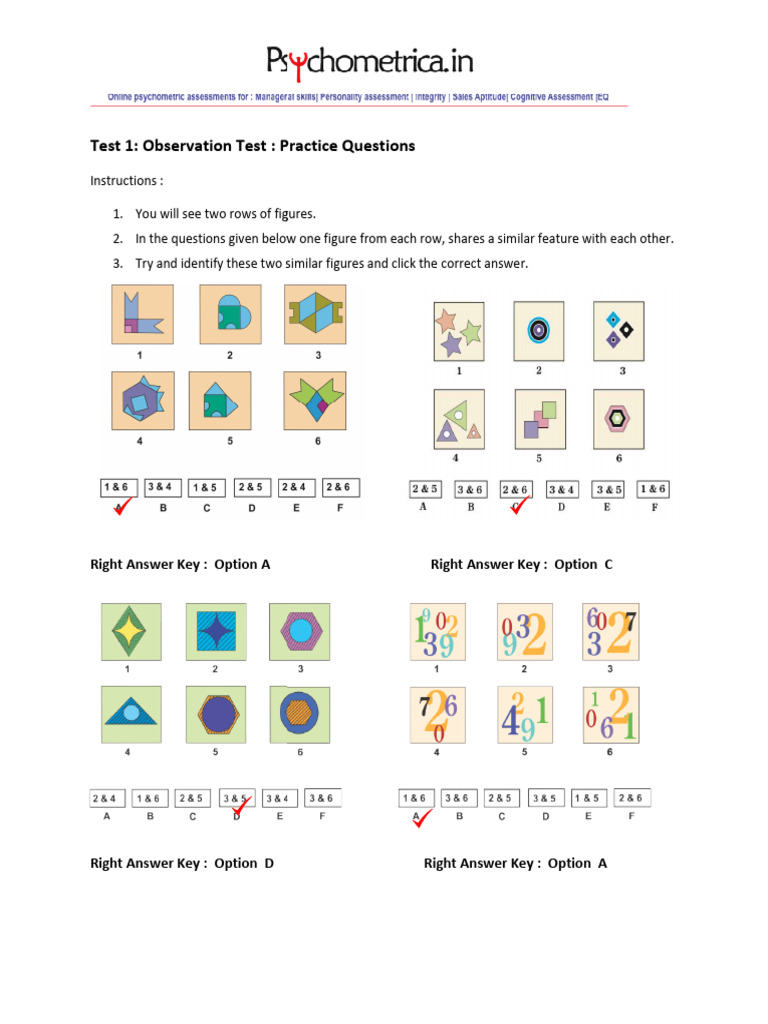 Observation and Memory Test Practice | PDF