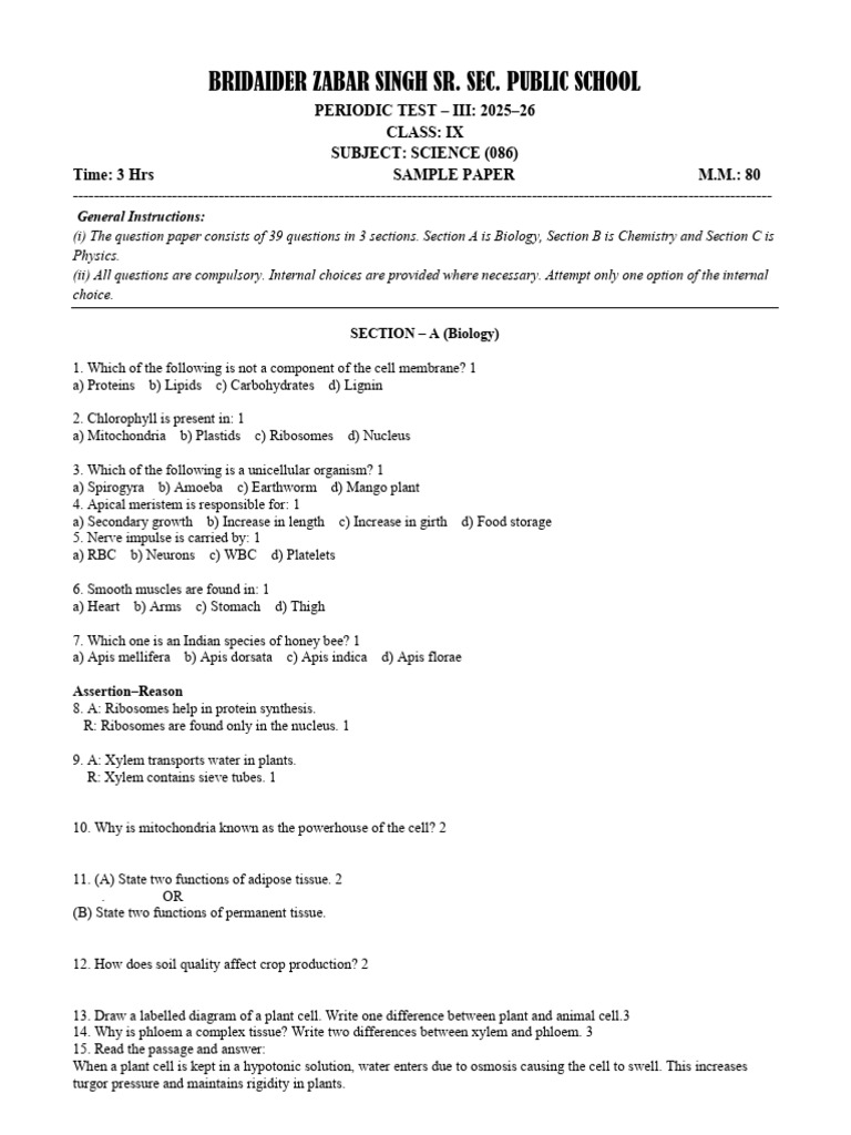 ModelTest | PDF | Force | Acceleration
