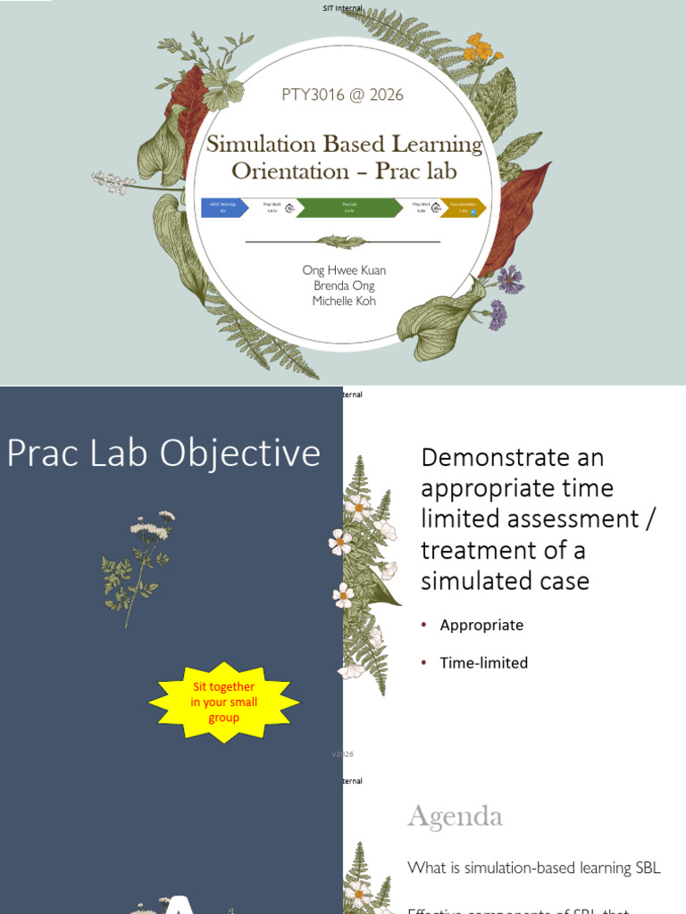 Simulation-Based Learning Orientation 2026 | PDF | Simulation | Learning