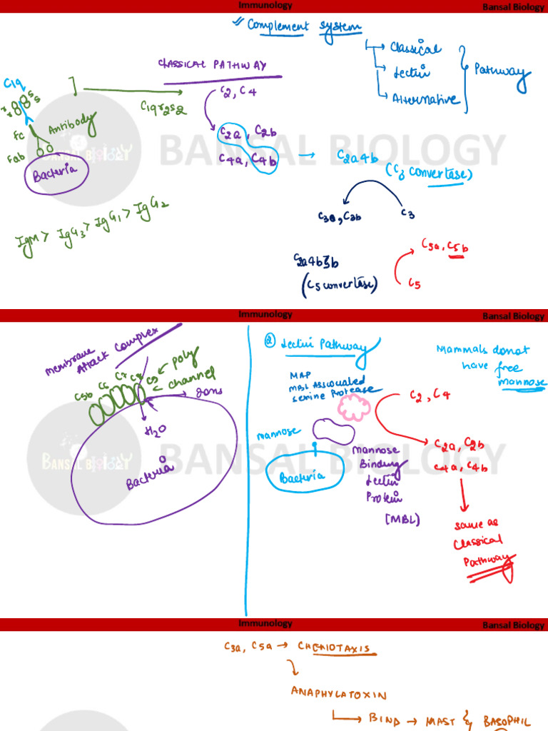 Immunology - Complement System - 60958231 - 2025 - 12 - 05 - 07 - 02 | PDF