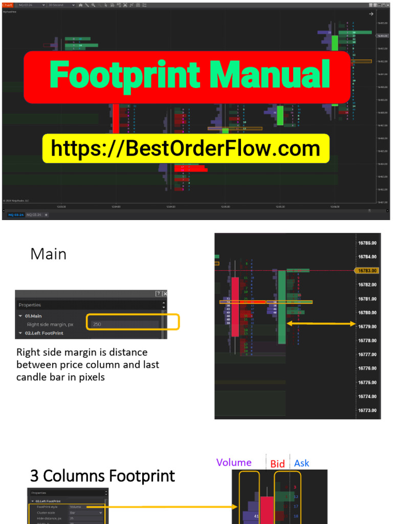 Footprint Chart Manual Guide | PDF | Typefaces | Computer Graphics