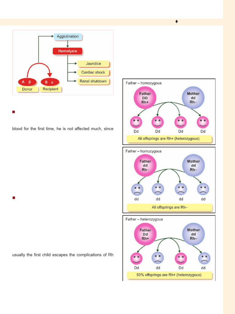 Rh Incompatibility and Blood Transfusion Risks | PDF | Lymphatic System ...
