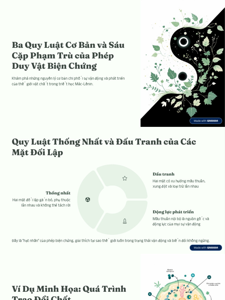Unknown | PDF