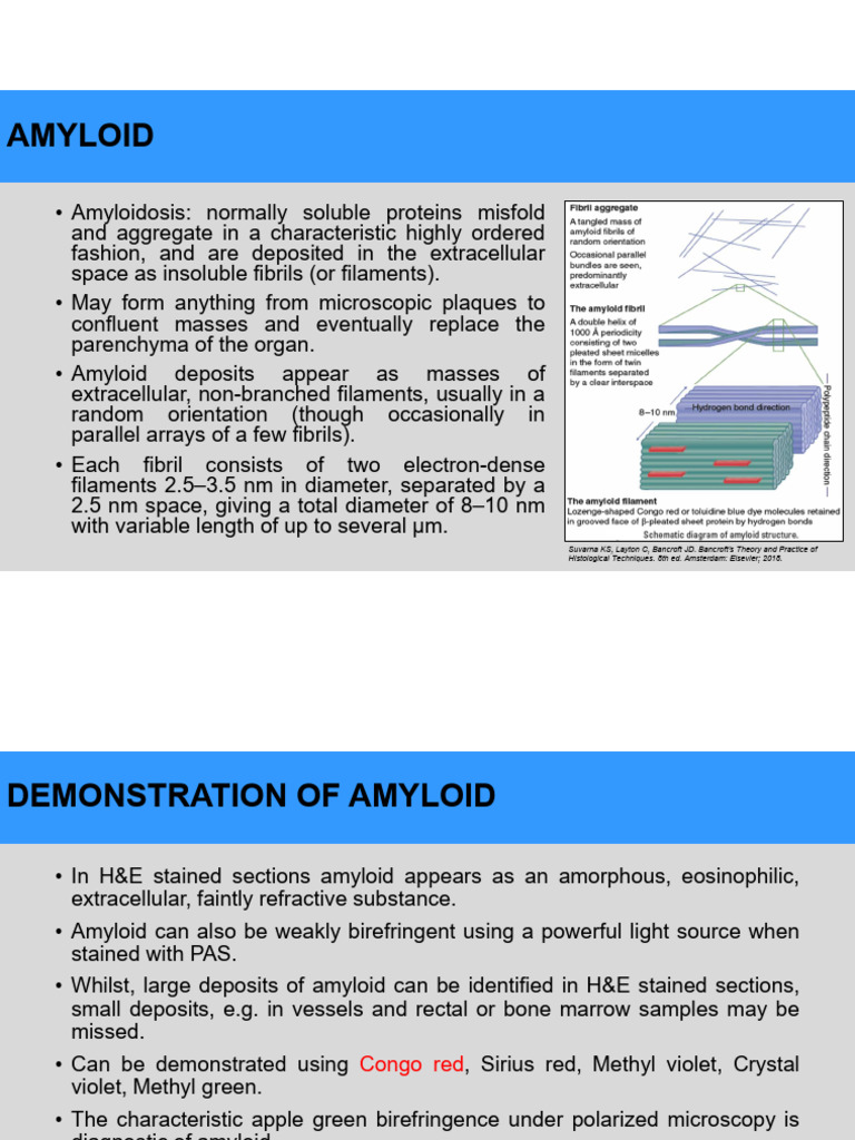 Amyloid | PDF
