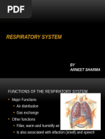 Air Pathway in the Respiratory System | PDF