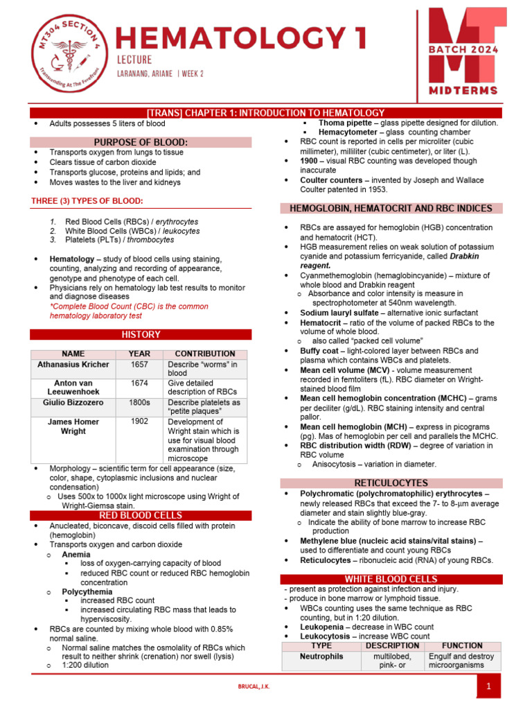 Introduction to Hematology Basics | PDF | Haematopoiesis | White Blood Cell