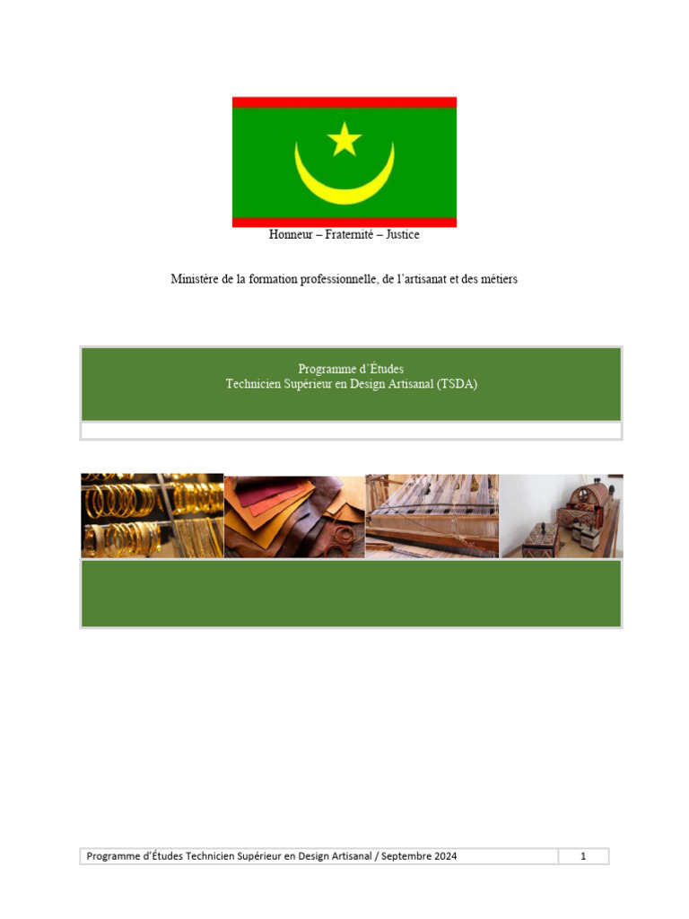 Programme TSDA : Design Artisanal 2024 | PDF | Tissage | Zone