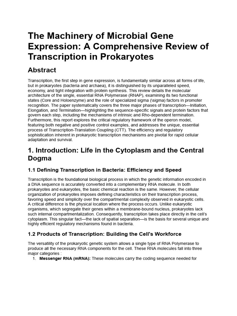 Prokaryotic Transcription Review Paper Outline | PDF | Operon | Rna