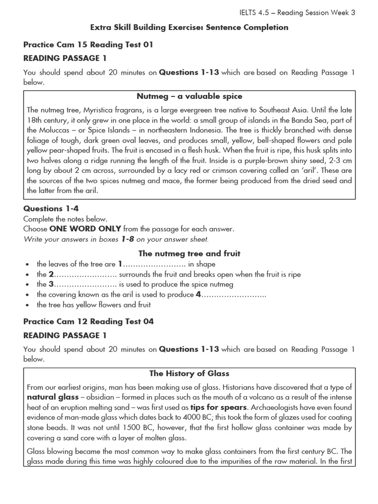 Extra Skill Building Exercise | PDF | Glasses | Nutmeg