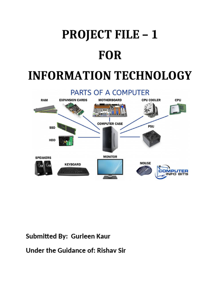 Class 10 IT Practical File Certificate | PDF