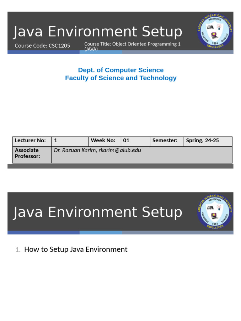 Java Environment Setup Guide | PDF