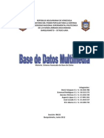 Base de Datos Multimedia