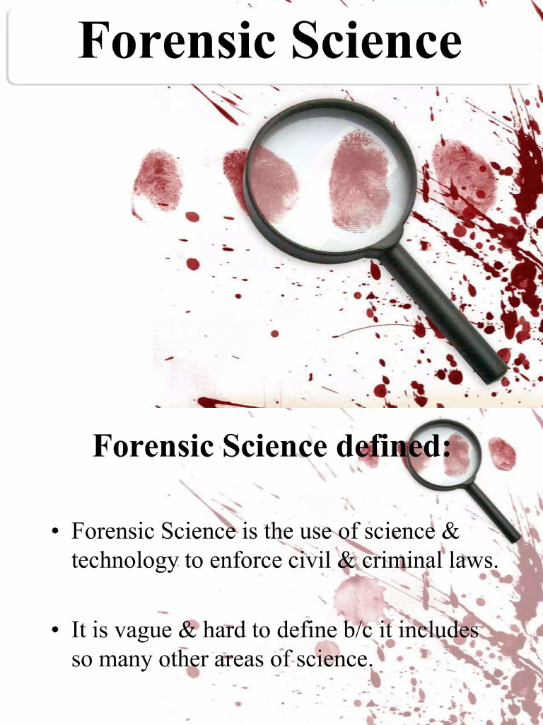 Forensic Basics 1 | PDF