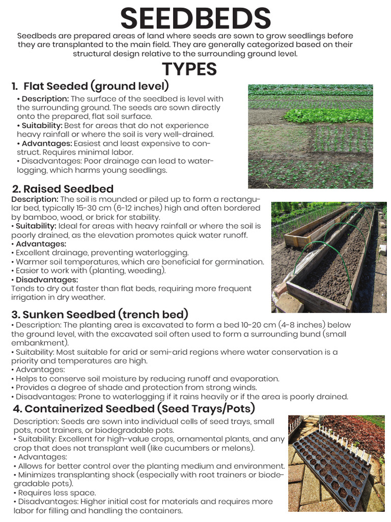 Seed Bed | PDF | Sowing | Seed